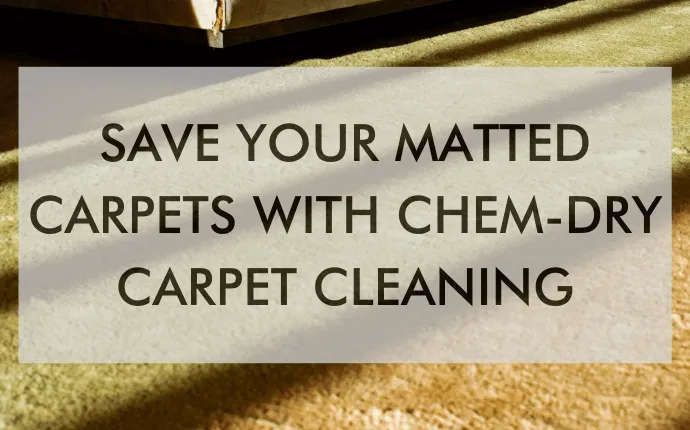 A sign that says save your matted carpets with chem-dry carpet cleaning