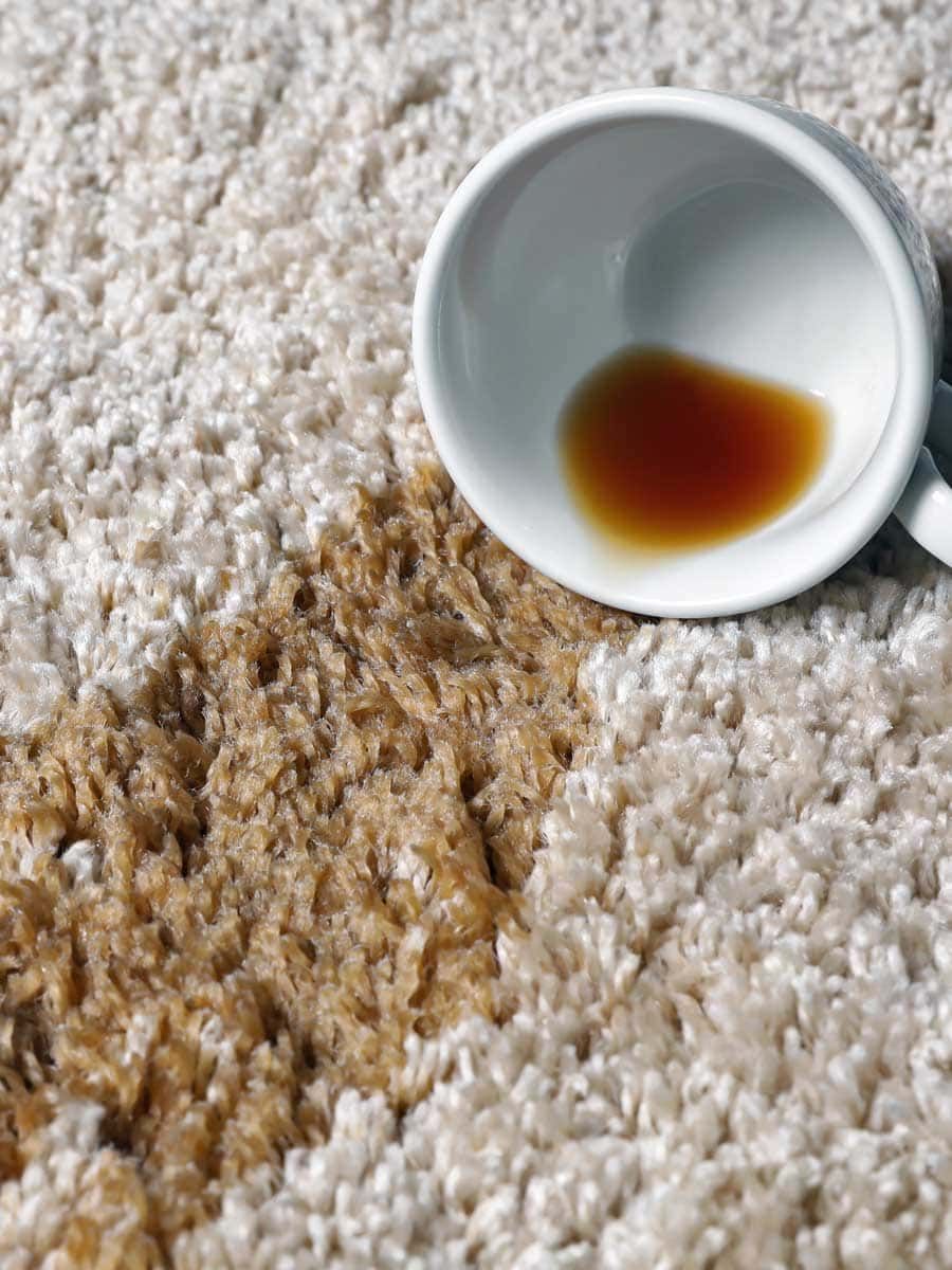 Spilled coffee stains a beige carpet near an overturned white mug.