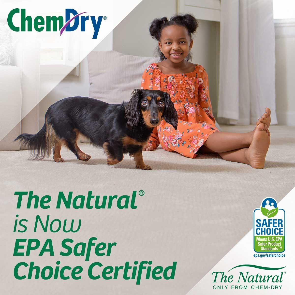 A girl and a dachshund dog sit on a clean carpet. Text advertises