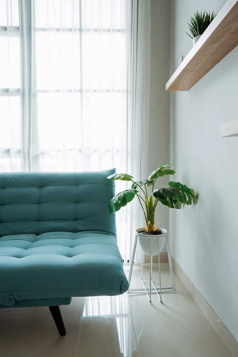 Teal futon next to a window with sheer curtains. A potted plant sits on a white stand; a shelf holds another plant.