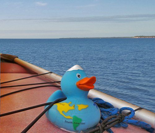 Toy Duck in Boat