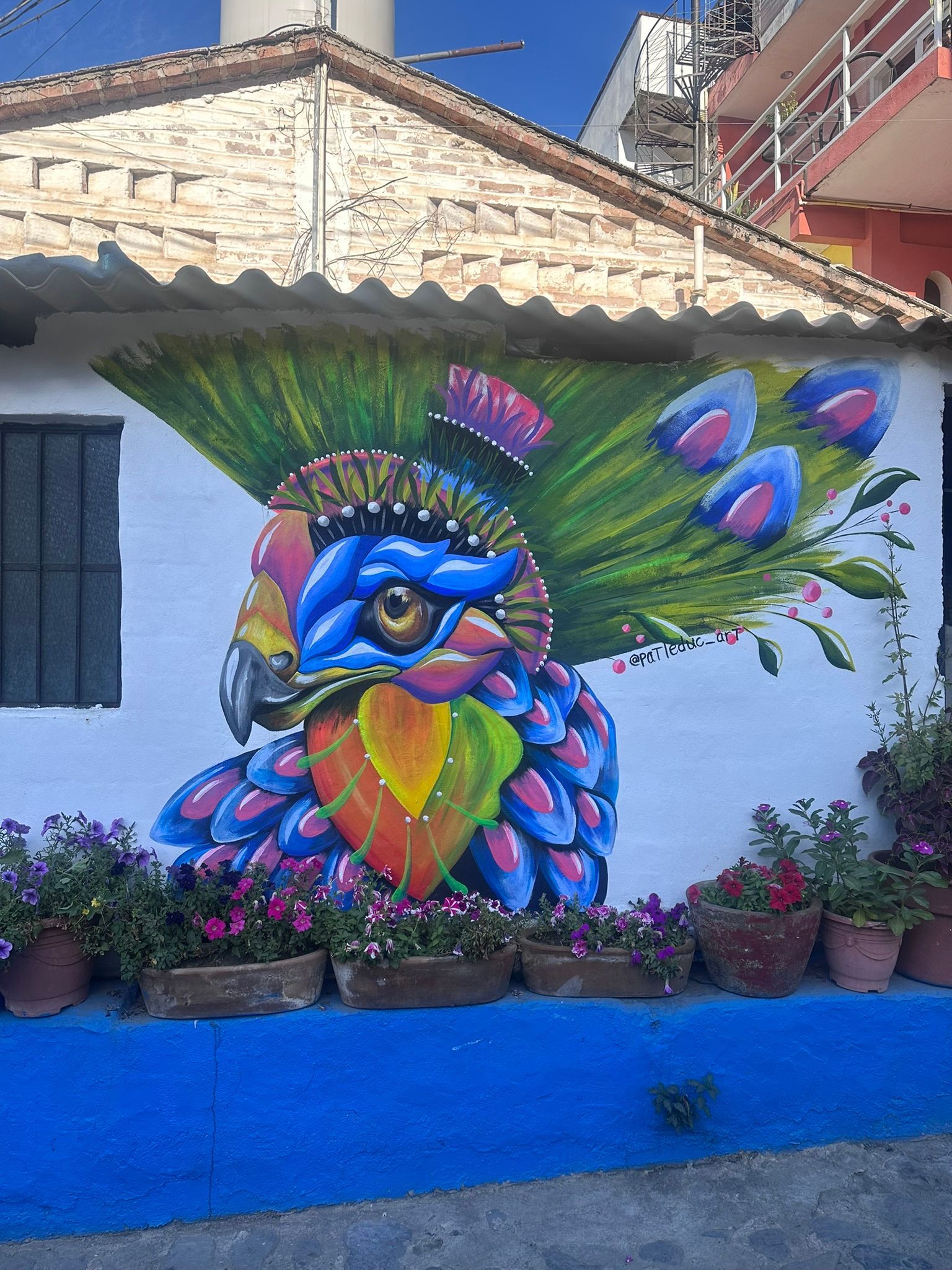 A colorful painting of a peacock on the side of a building.