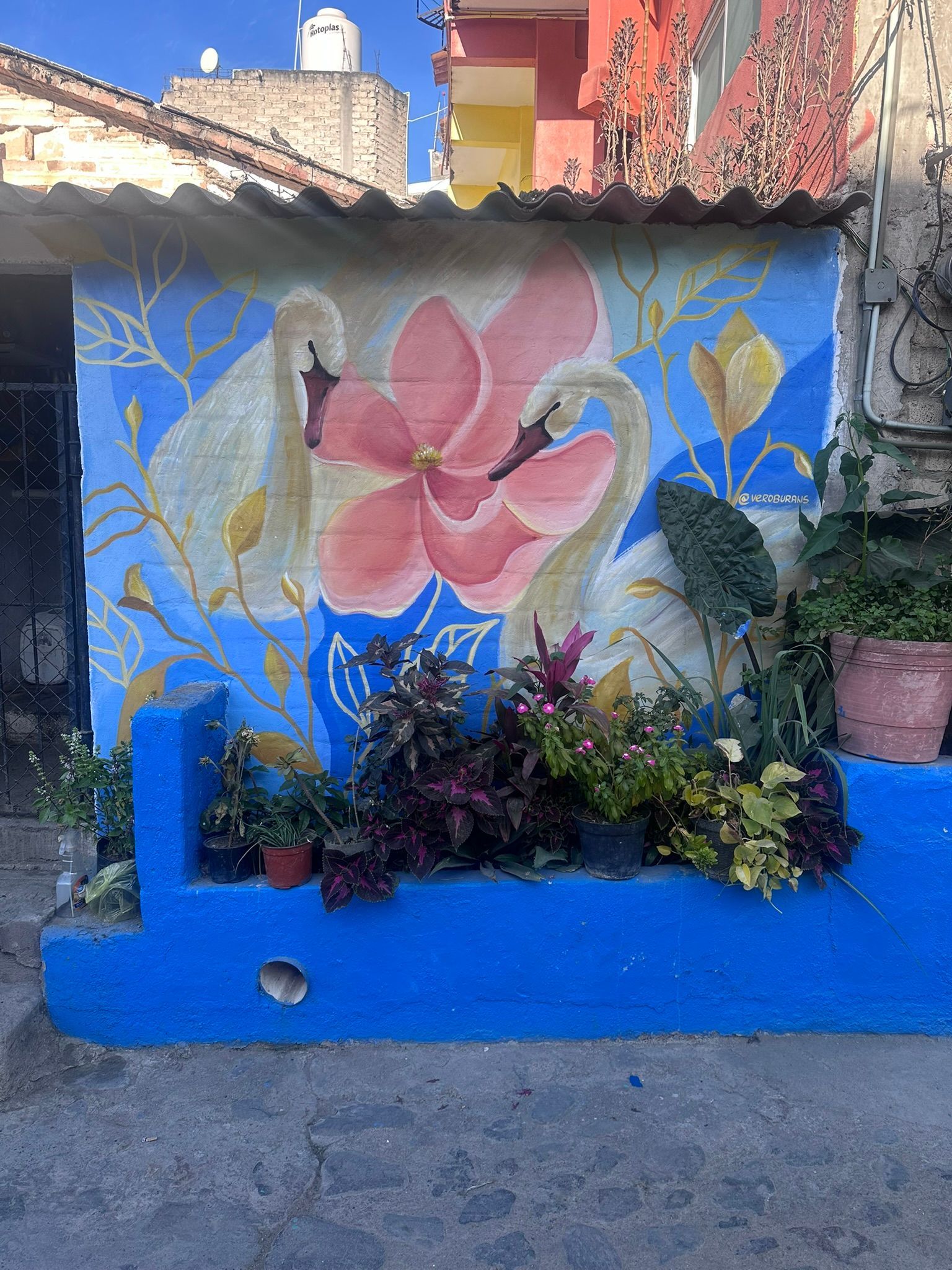 A blue wall with a painting of a swan and a flower on it.