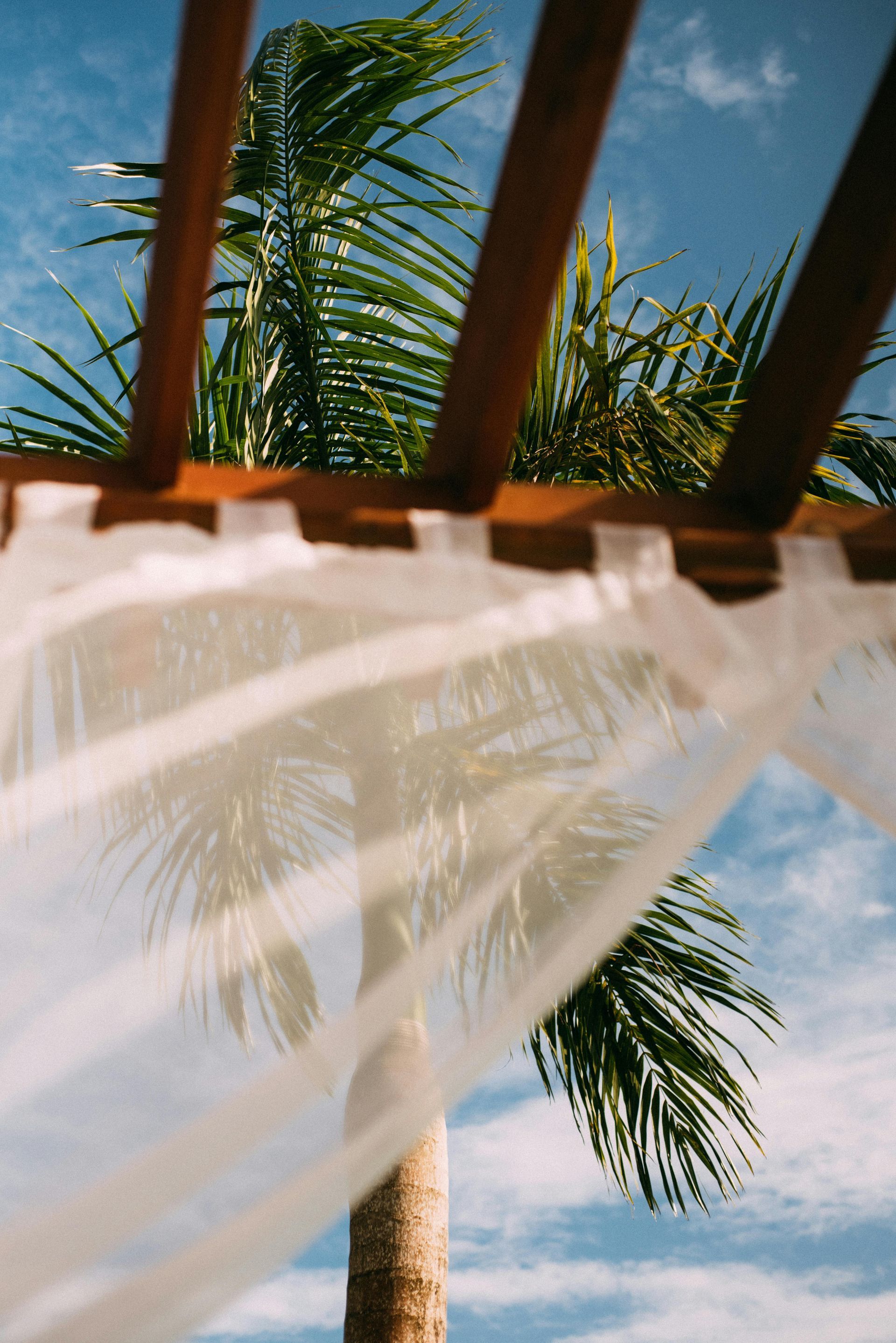 A white curtain is hanging from a wooden structure with a palm tree in the background.