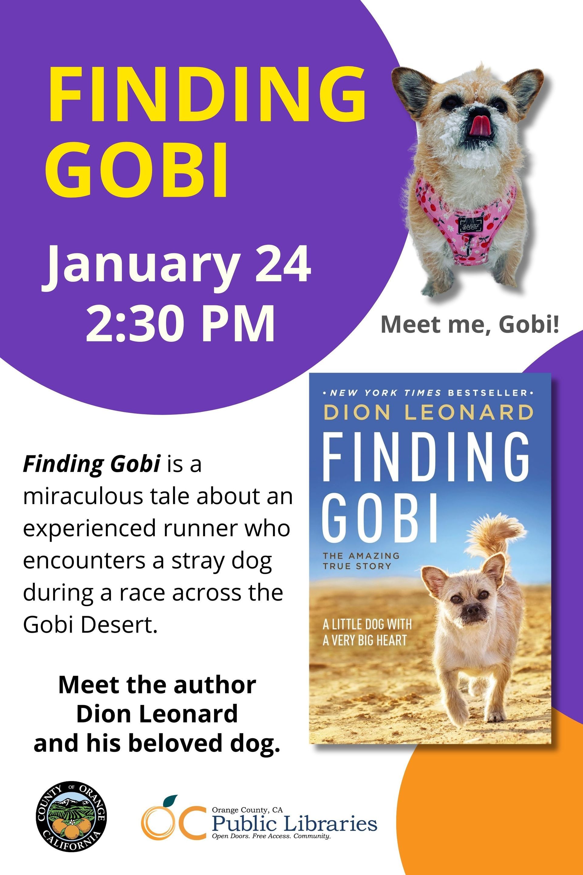 Dion Leonard, Finding Gobi, Gobi the Dog, New York Times Bestseller, Author, Speaking Event