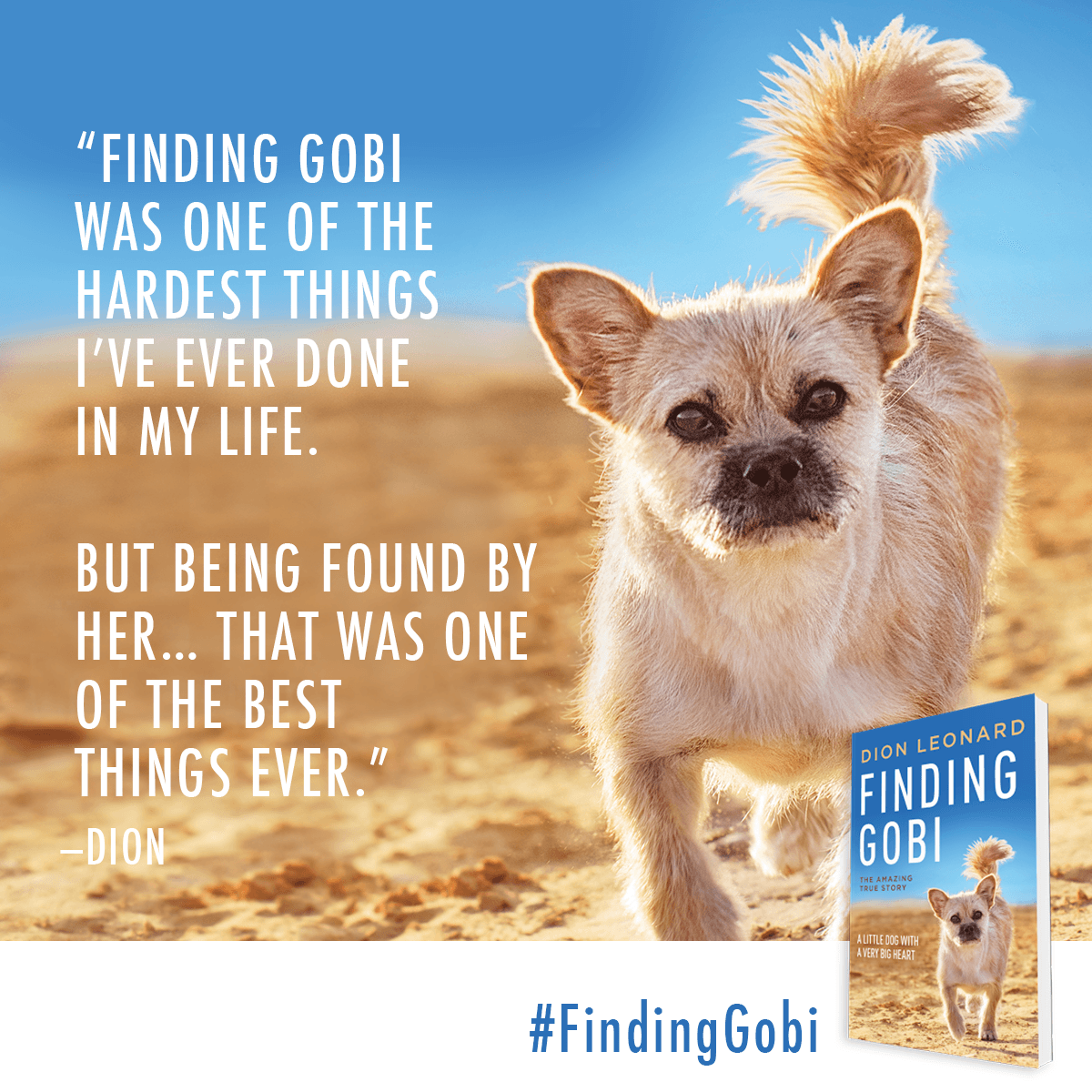 Finding Gobi by Dion Leonard US and Canada Paperback
