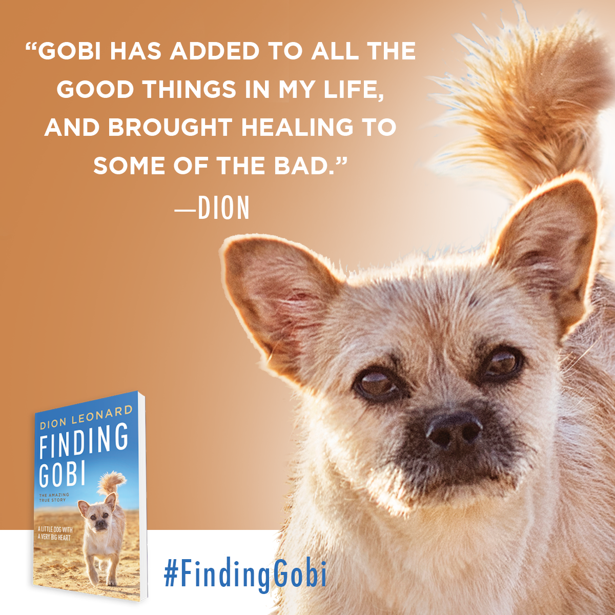Dion Leonard, Finding Gobi, Gobi the Dog, New York Times Bestseller, Author, Speaking Event