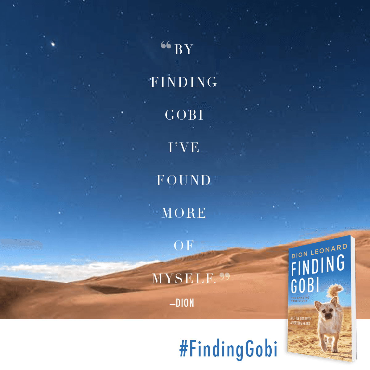 Finding Gobi by Dion Leonard US and Canada Paperback