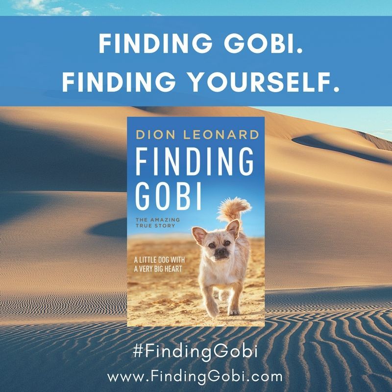 Dion Leonard, Finding Gobi, Gobi the Dog, New york times Bestseller, Ultramarathon runner Dion Leonard, Finding Gobi, Gobi the Dog, New york times Bestseller, Ultramarathon runner