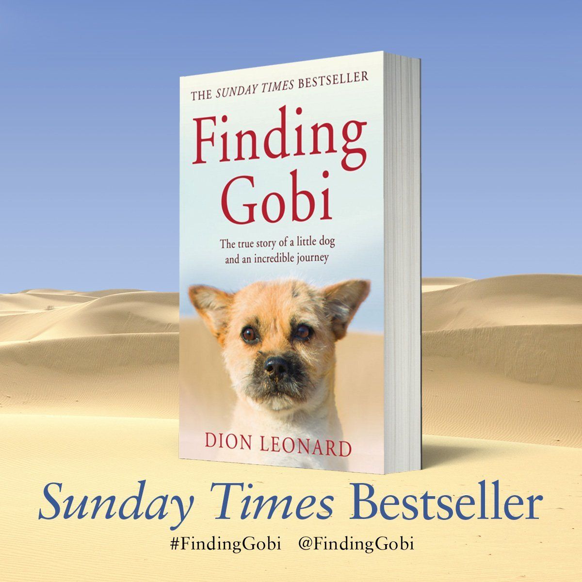 Finding Gobi by Dion Leonard UK & Australia Paperback