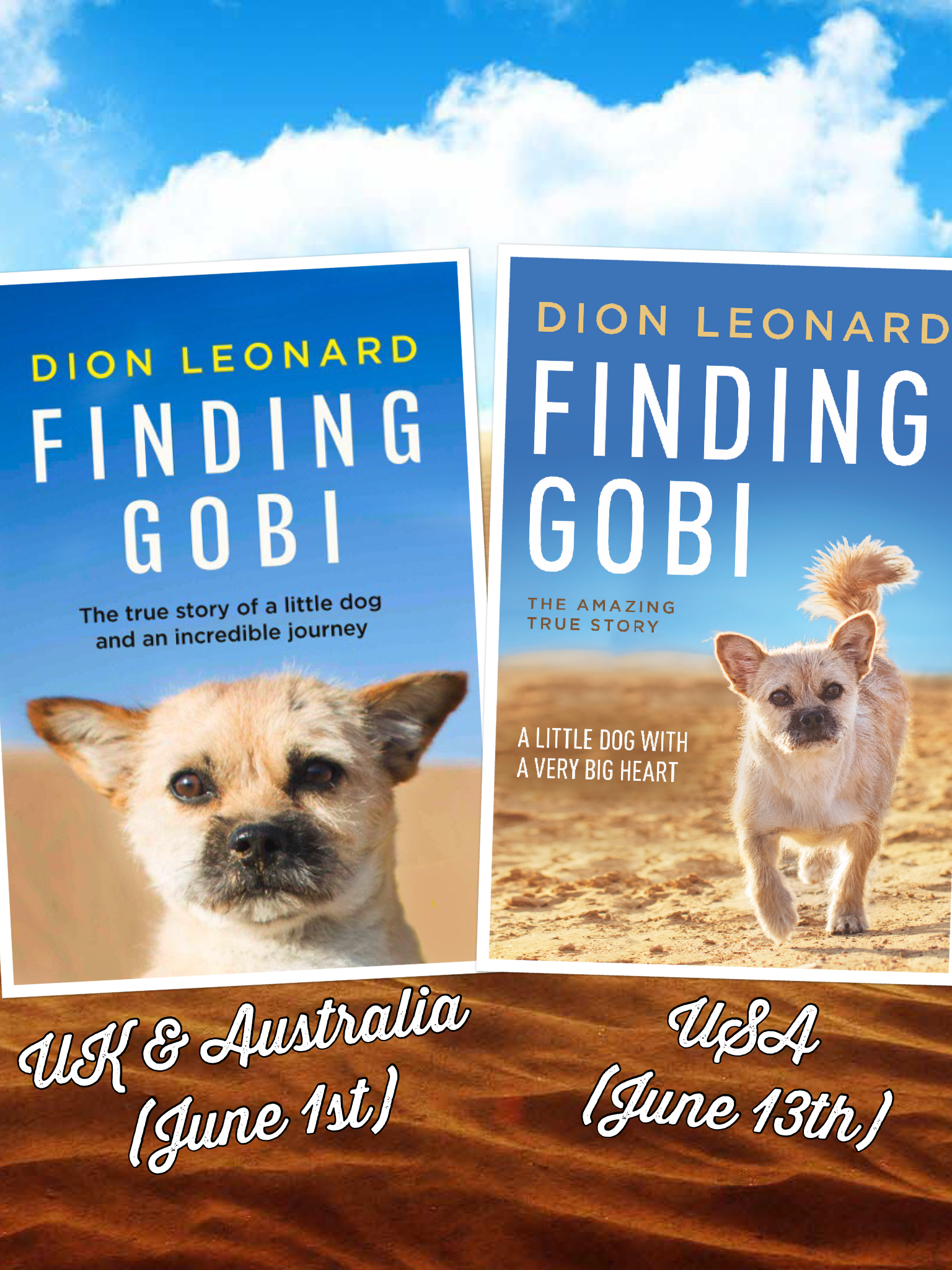 Finding Gobi Dion Leonard Hardback Paperback Book Cover