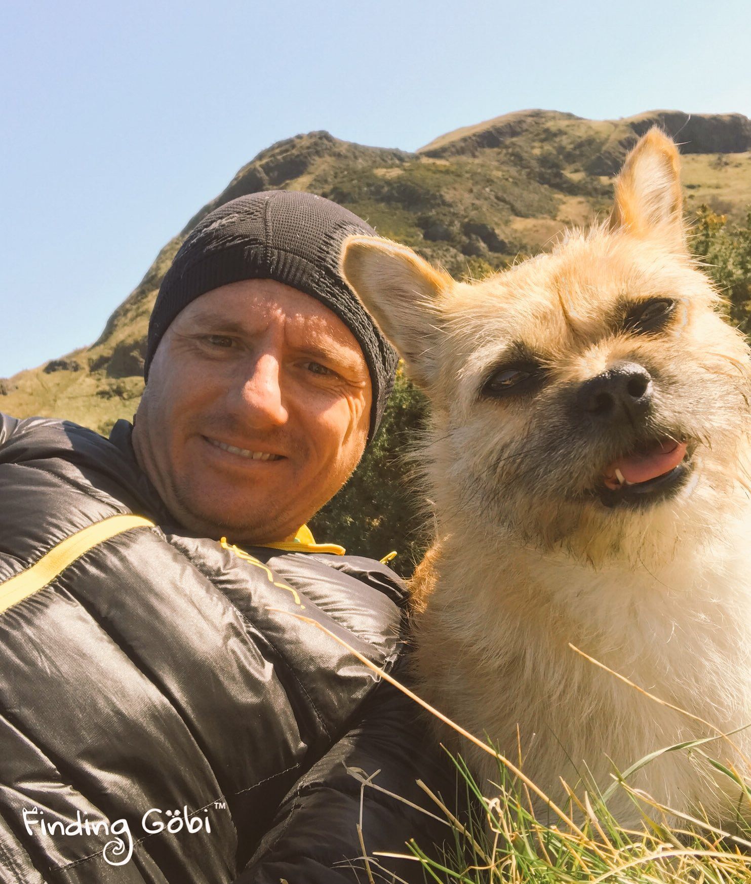 Dion Leonard, Ultra Runner, Stray Dog, gobi Dog, China Desert, Ultra Marathon Runner, Finding Gobi