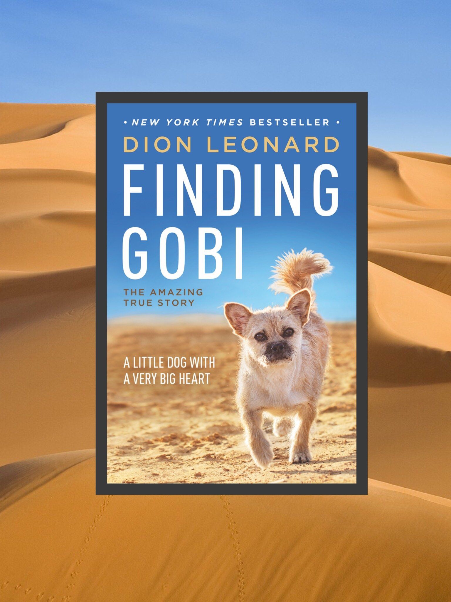 Finding Gobi by Dion Leonard US & Canada Paperback