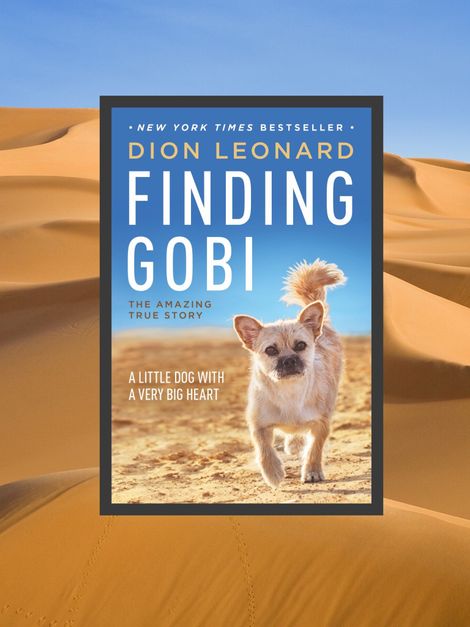 Finding Gobi Book By Dion Leonard