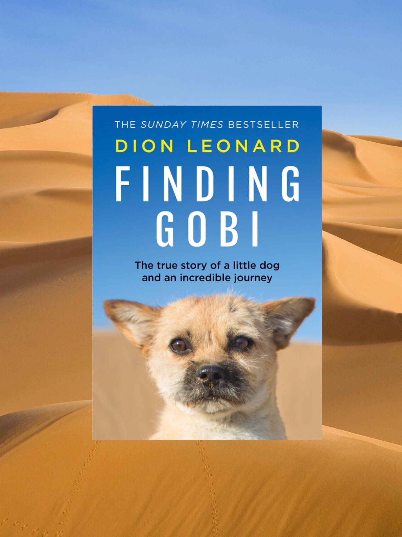 Finding Gobi by Dion Leonard UK & Australia Hardback