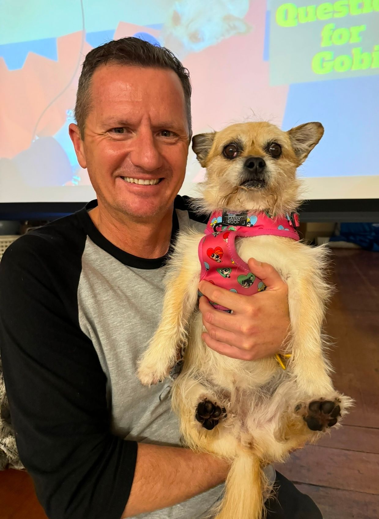 Dion Leonard, Ultra Runner, Stray Dog, gobi Dog, China Desert, Ultra Marathon Runner, Finding Gobi