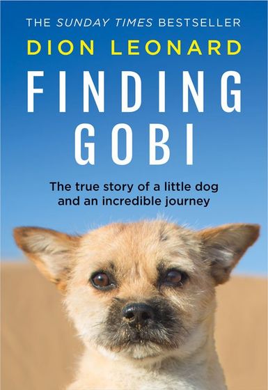 Finding Gobi by Dion Leonard Sunday Times Bestseller