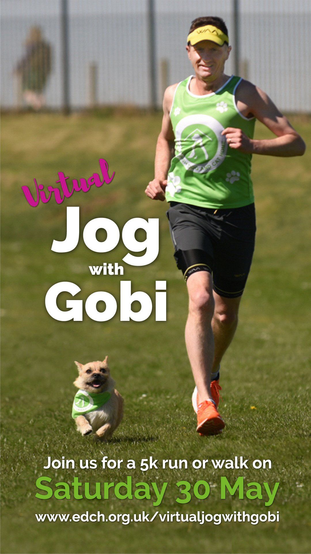 Jog with Gobi, Dion Leonard, Gobi the Dog, Adopt Don't Shop. Finding Gobi