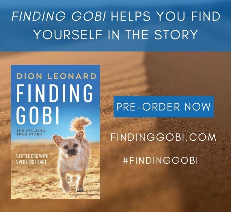 Finding Gobi, Dion Leonard, Gobi the Dog, Finding Gobi Book 