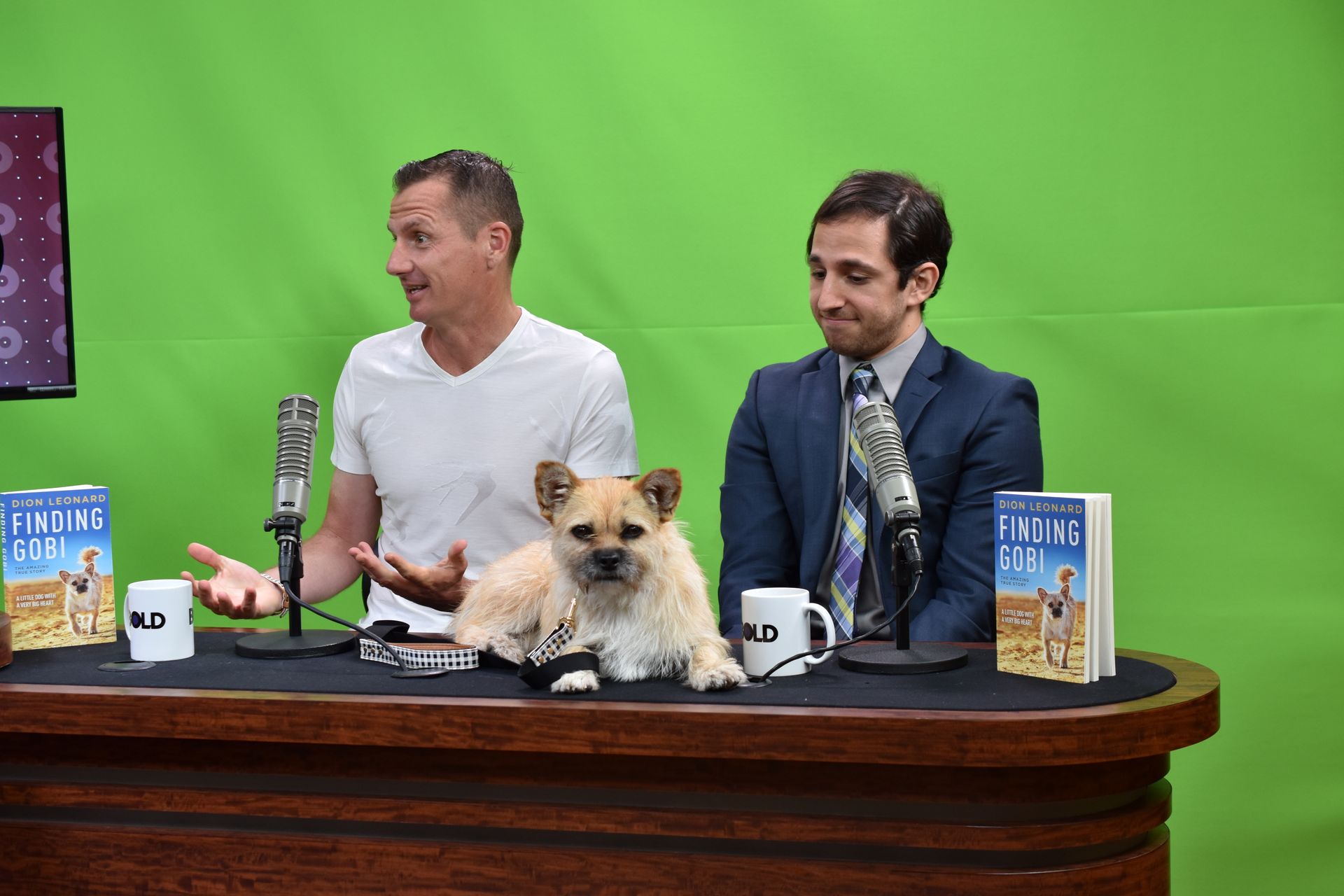 Dion Leonard, Media, Finding Gobi, Gobi the Dog, New York Times Bestseller