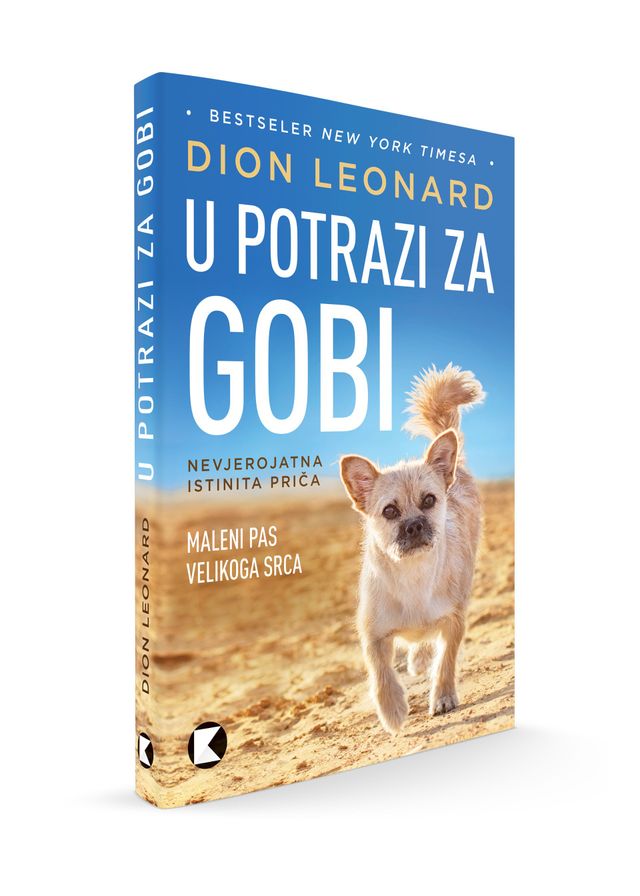 Finding Gobi Media And News