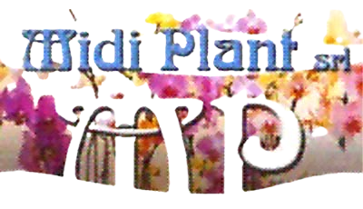 logo midi plant