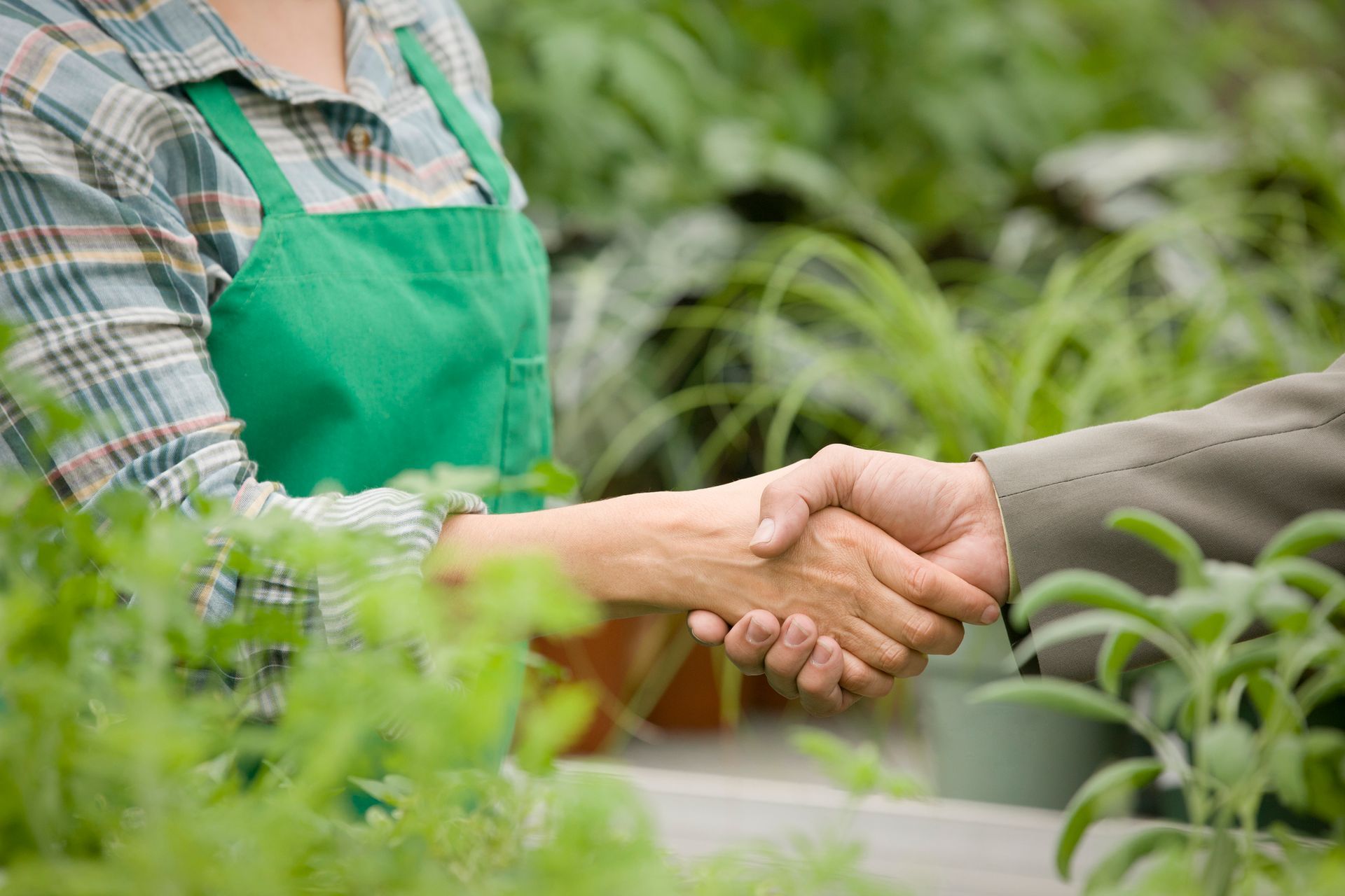 personale qualificatp