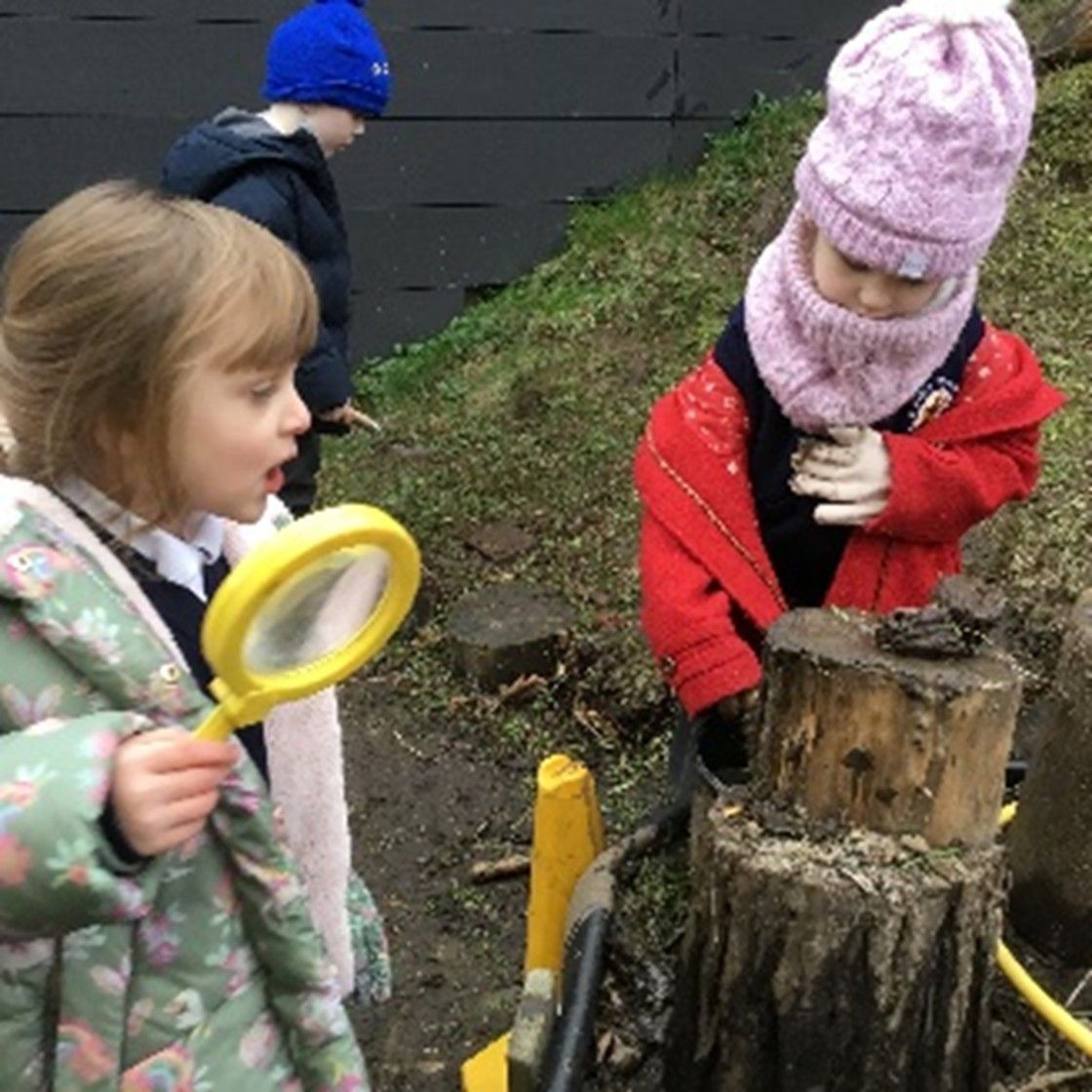 Two children are looking at a tree stump with a magnifying glass.