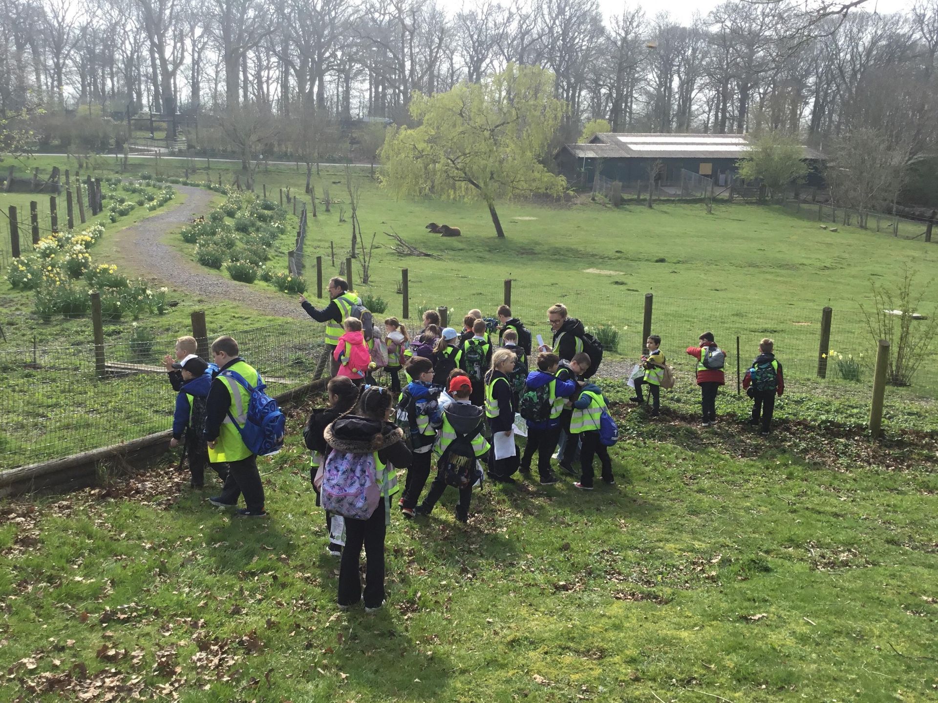 Group of school kids with backpacks posing on a grassy trail in a wooded parkldren