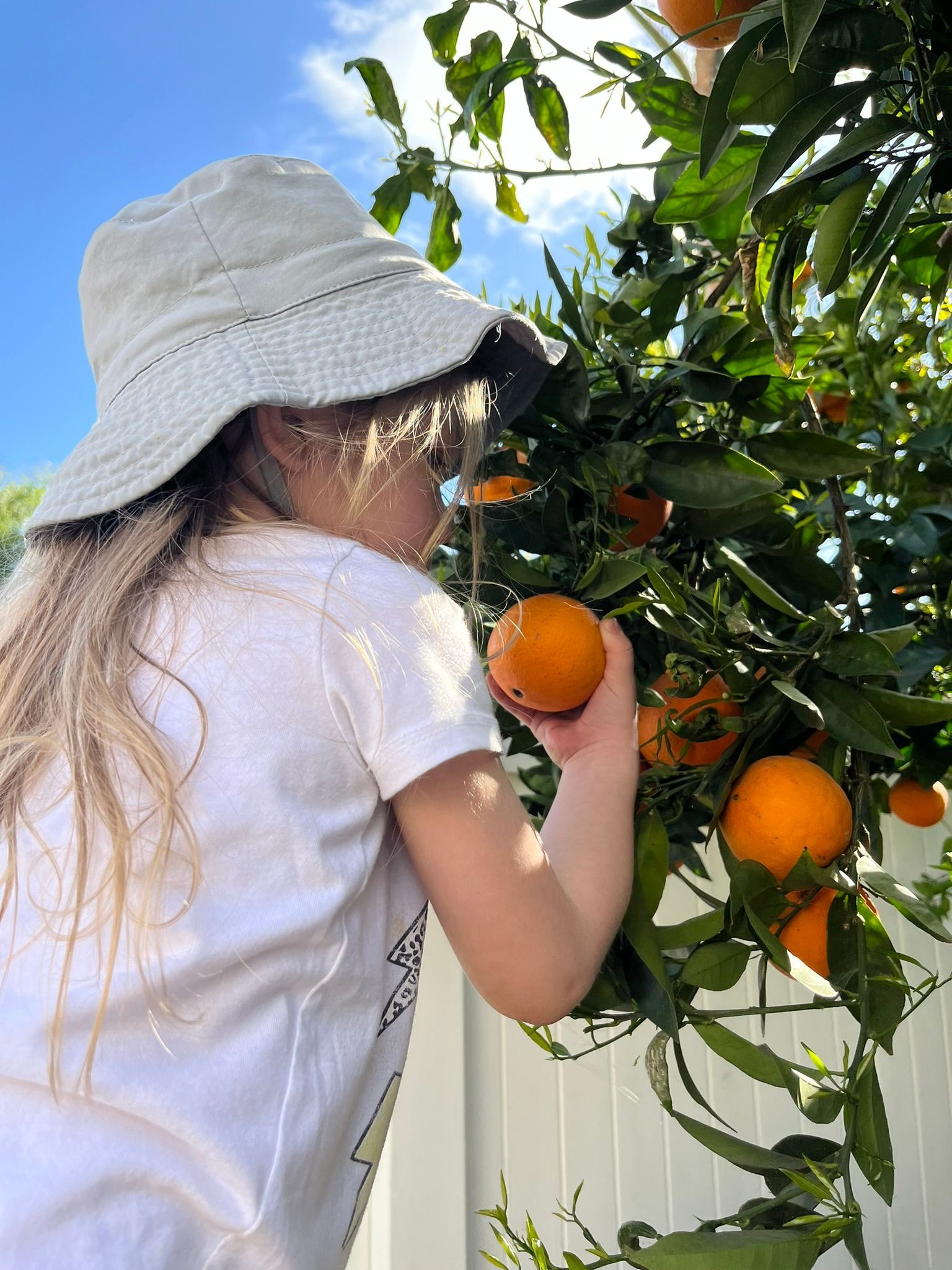 Temecula Child Care | Child Care Near Me | Child Care Temecula