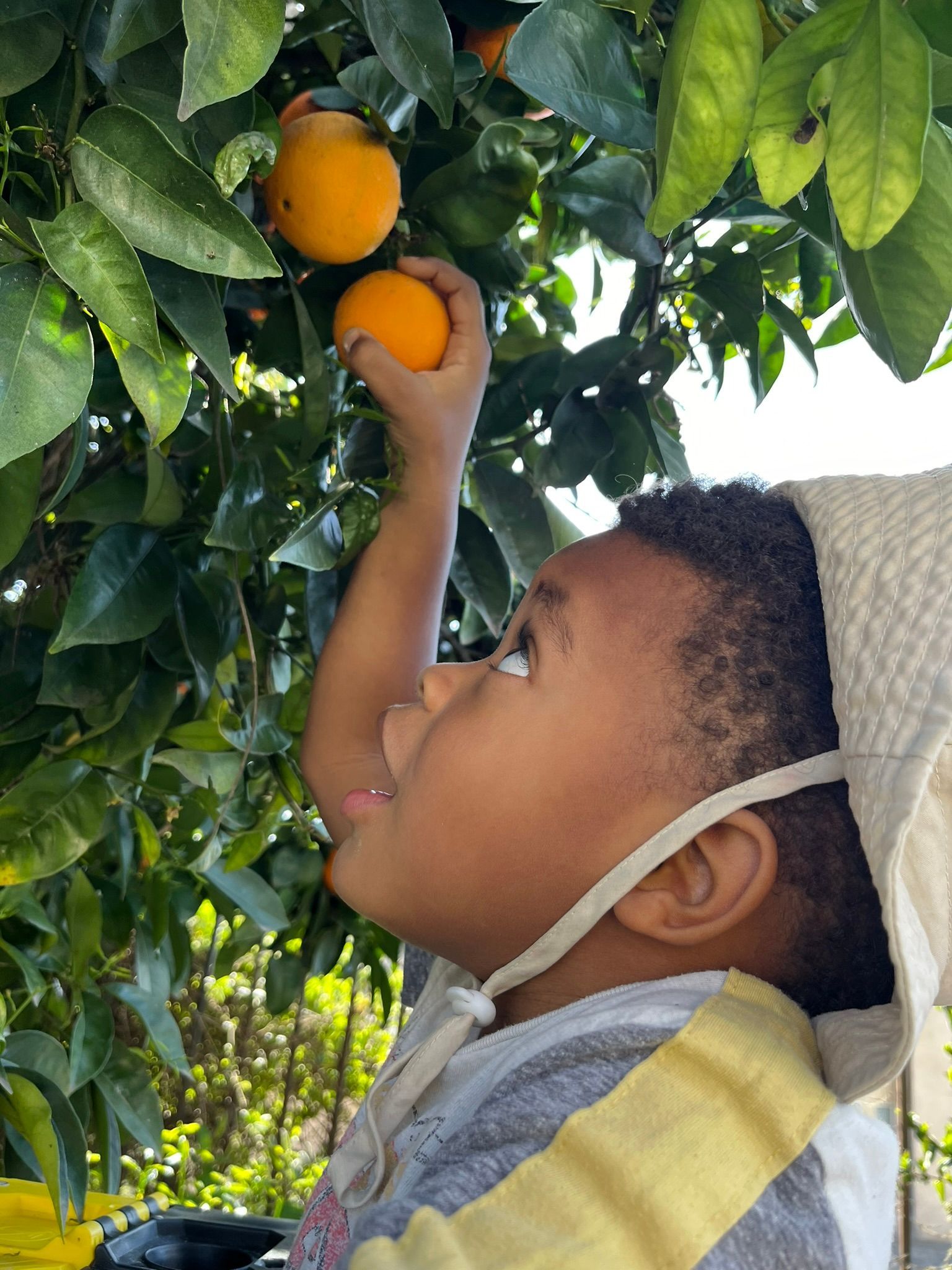 Temecula Child Care | Child Care Near Me | Child Care Temecula