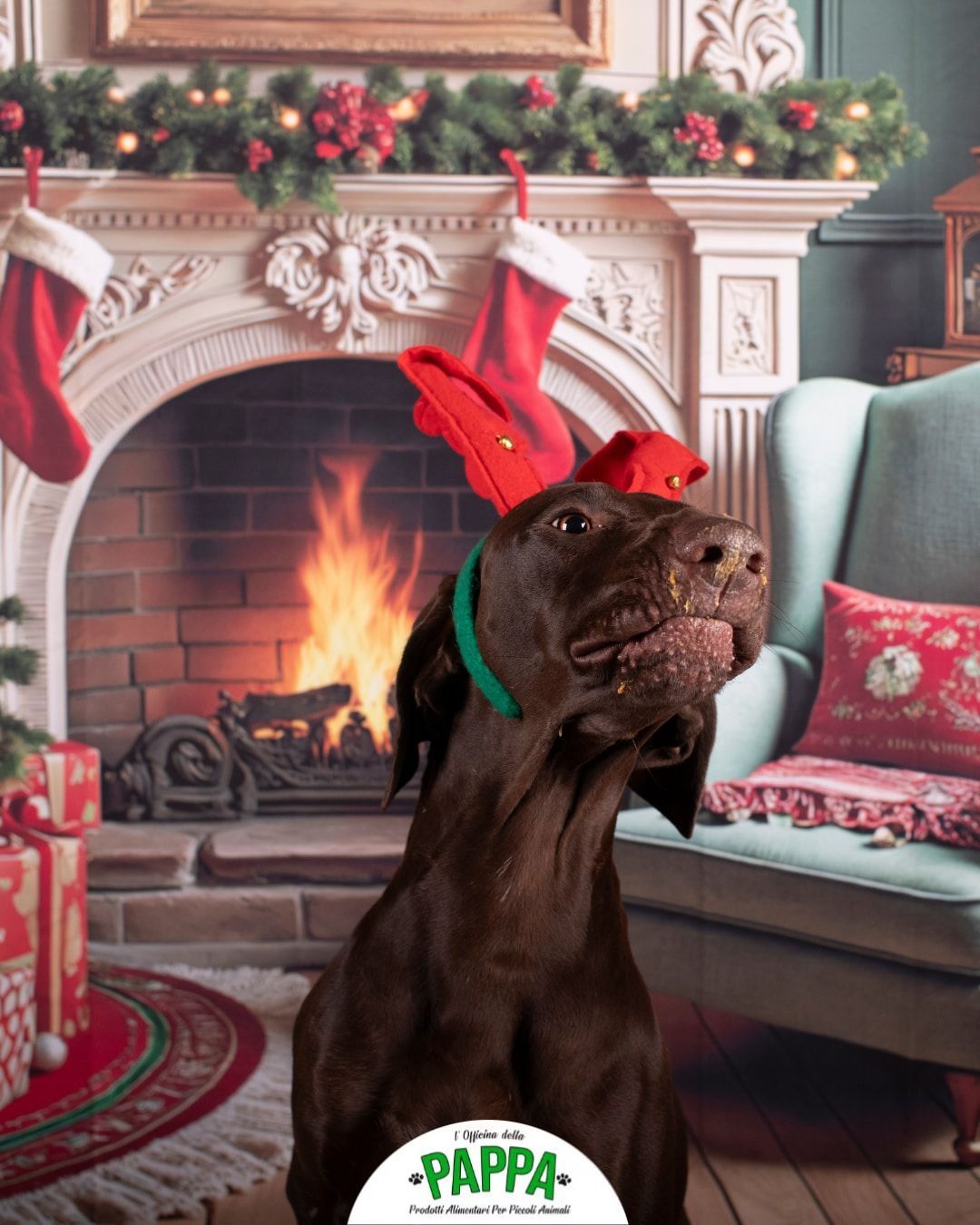 Cane con corna di renna davanti a un camino decorato con decorazioni natalizie.