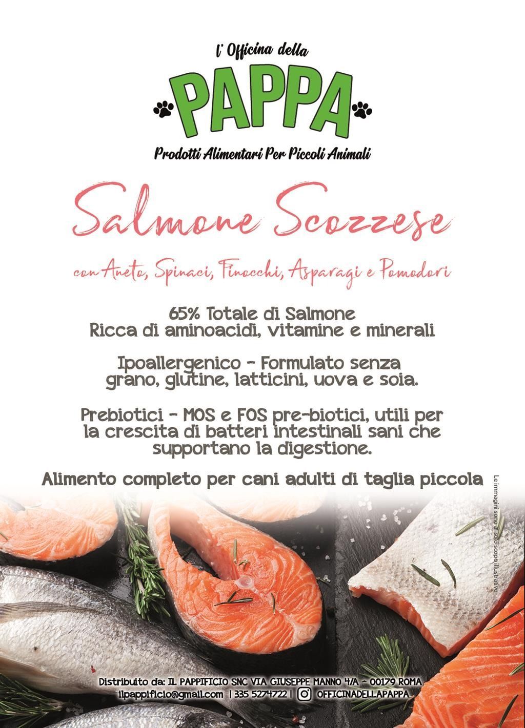 Confezione di cibo per cani con salmone, verdure e testo in italiano.