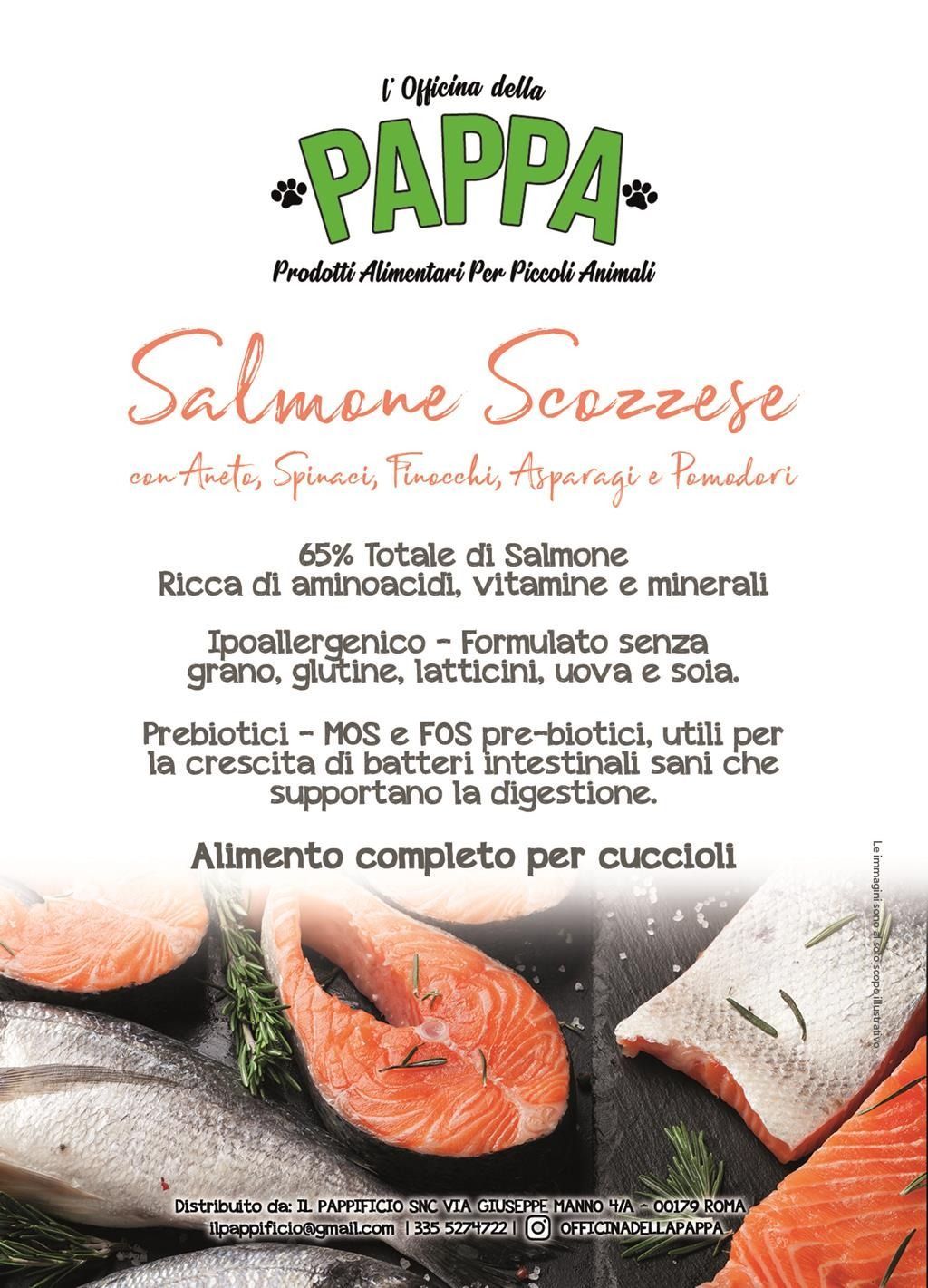 Pubblicità del cibo per cani 