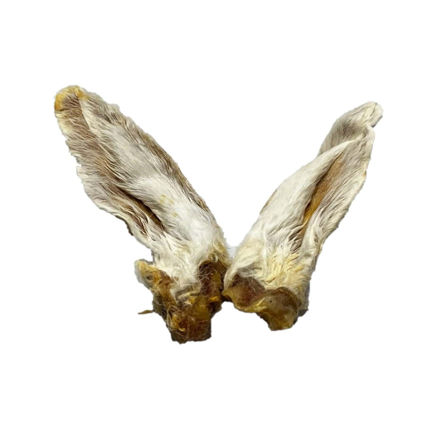 Orecchie di coniglio secche, marrone chiaro e marrone chiaro, divaricate.