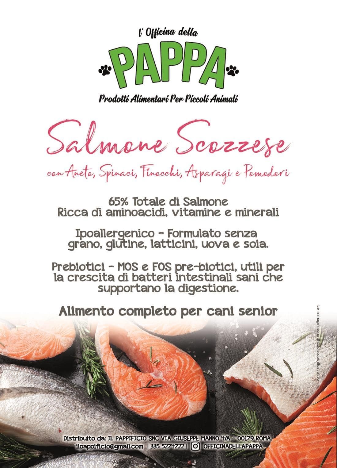 Confezione di cibo per cani con fette di salmone, testo sugli ingredienti e benefici.