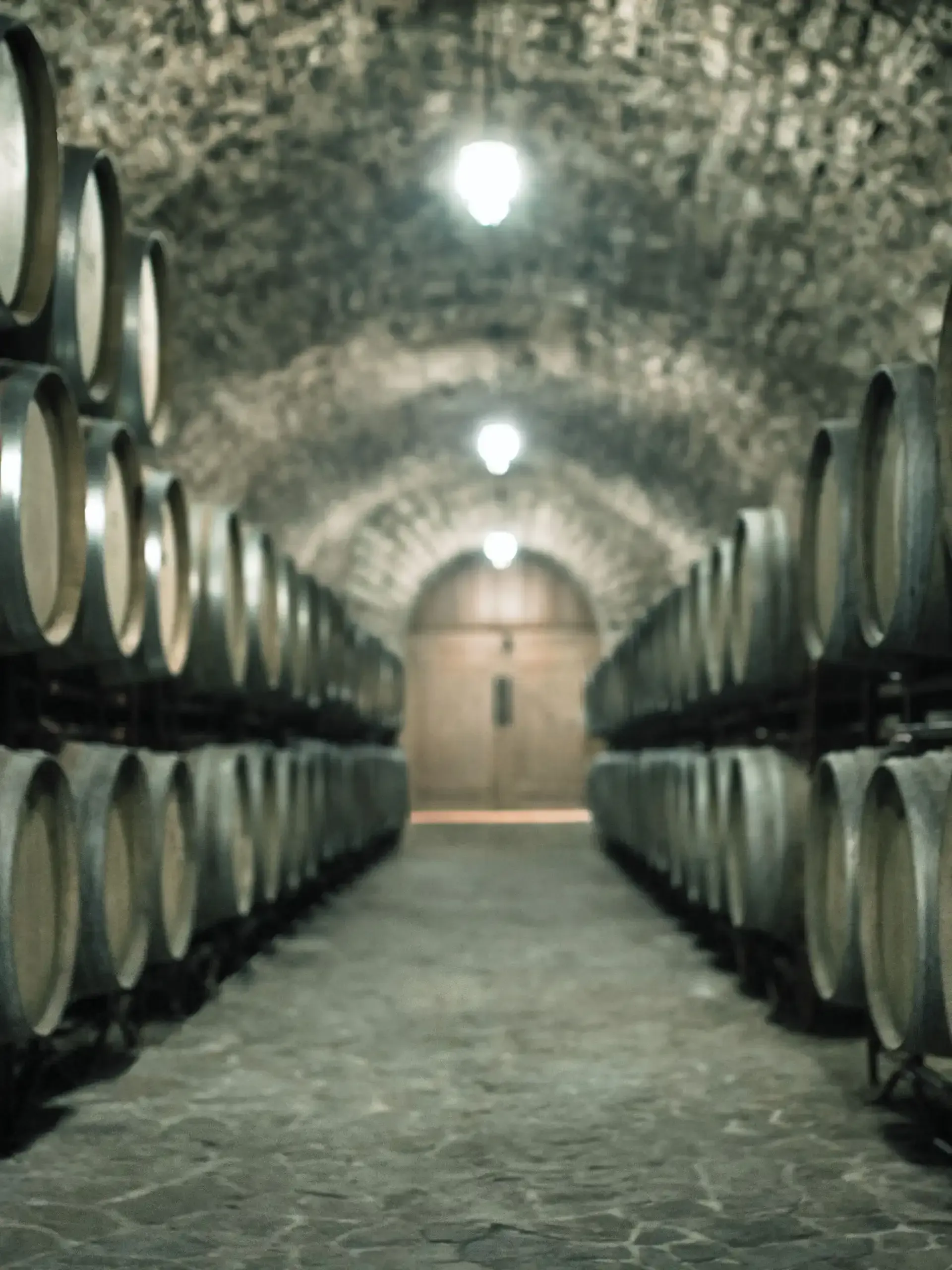 A black and white photo of a sugar cane field.