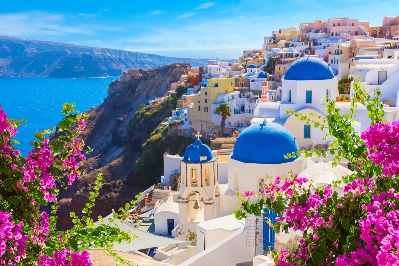 A view of santorini , greece with purple flowers in the foreground and blue domes in the background.