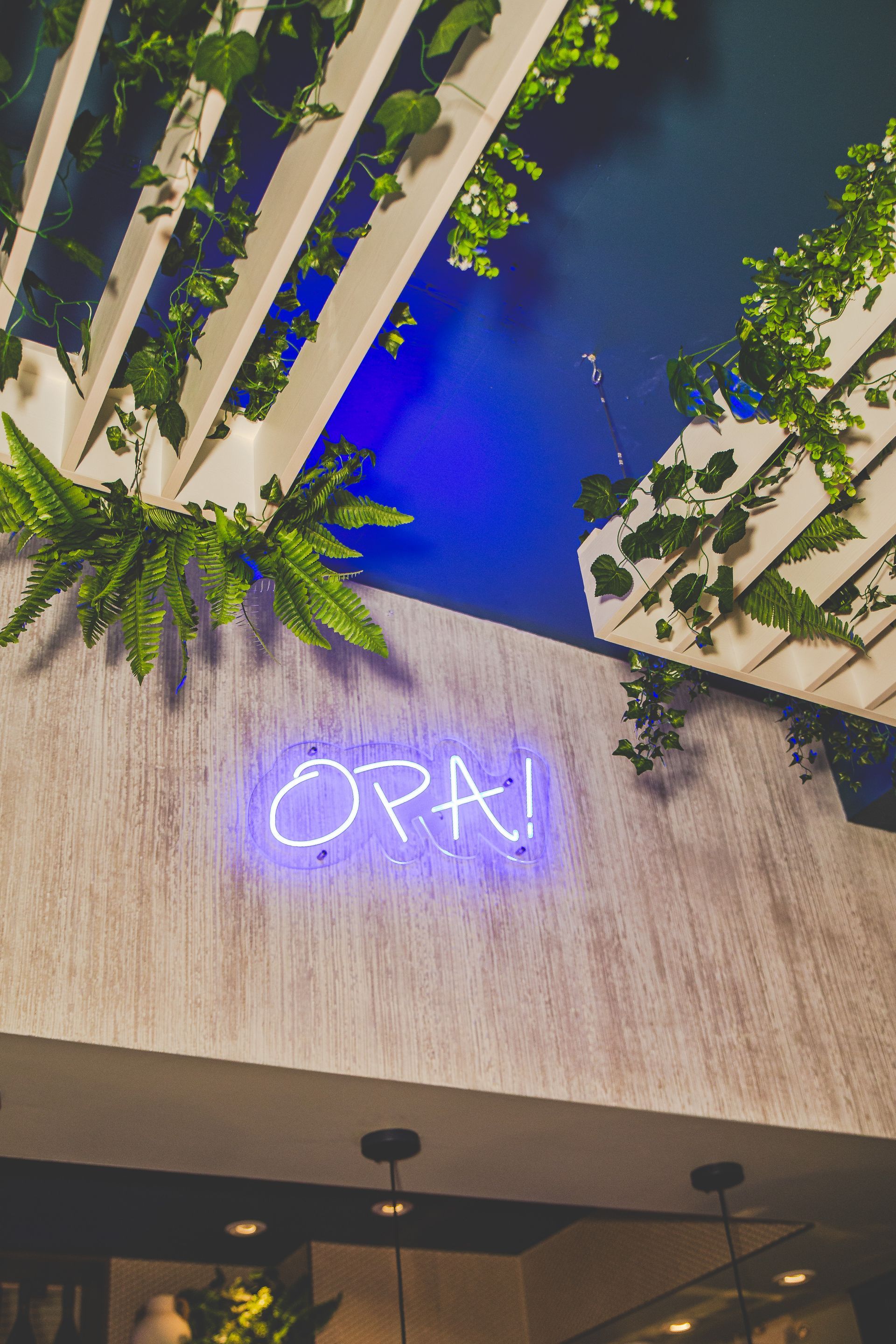 A neon sign on the side of a building that says orai.