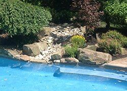 Trimming — landscape contractor in Matawan, New Jersey