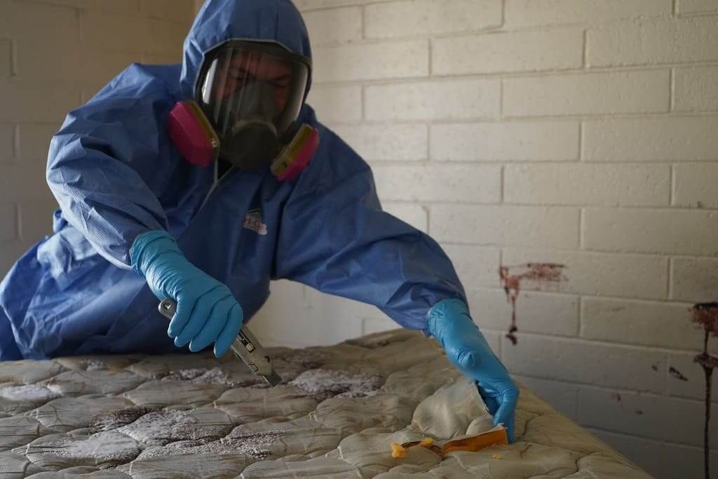 Person wearing blue gloves holding spray bottles, with a yellow cloth and bucket on a surface.