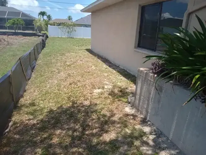 Side yard with dry grass, tan house, black fence, and tropical plants.