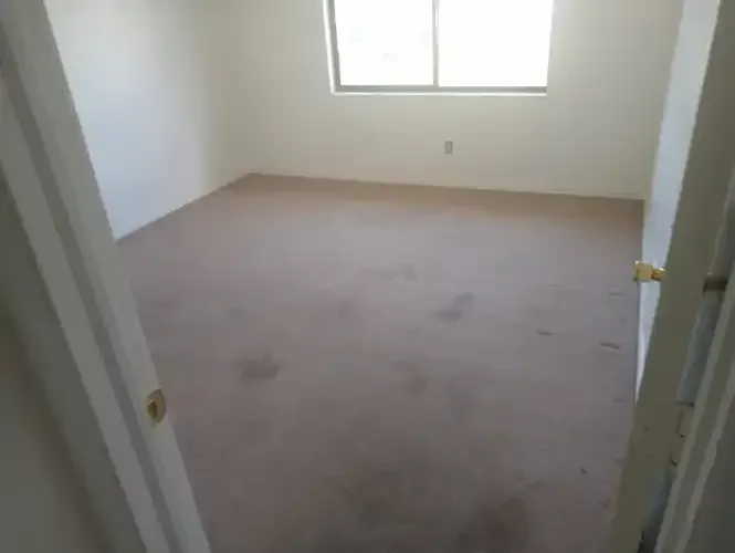 Empty room with stained beige carpet, window, and open doorway.