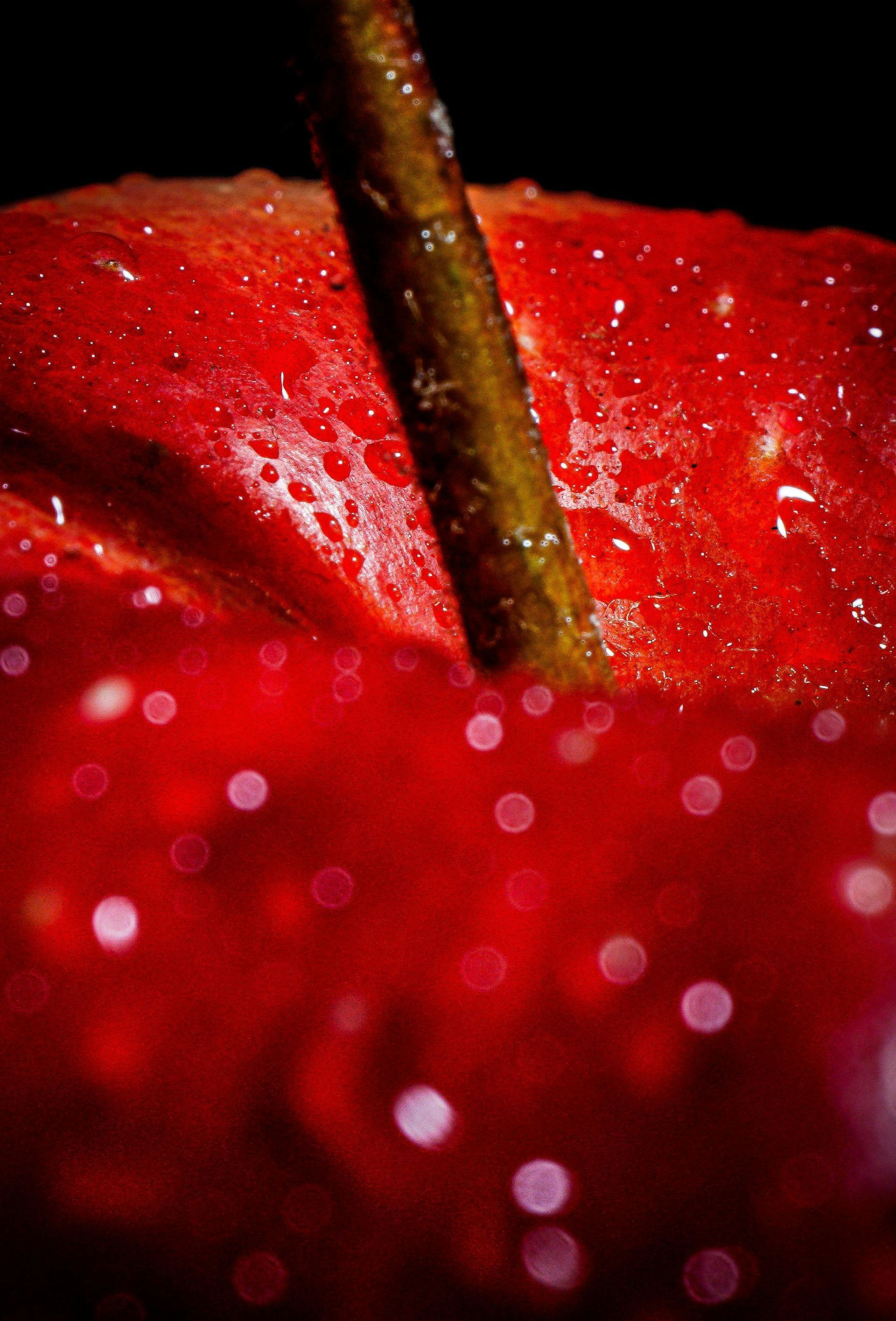 Close-up of a glistening red apple with water droplets and a brown stem against a black background.