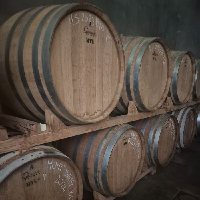 AZIENDA VITIVINICOLA