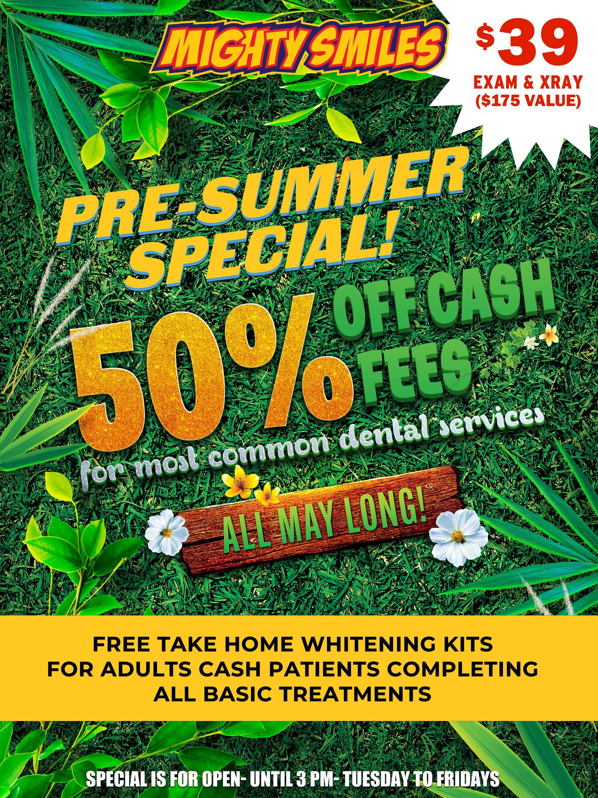 Mighty Summer Dental Special