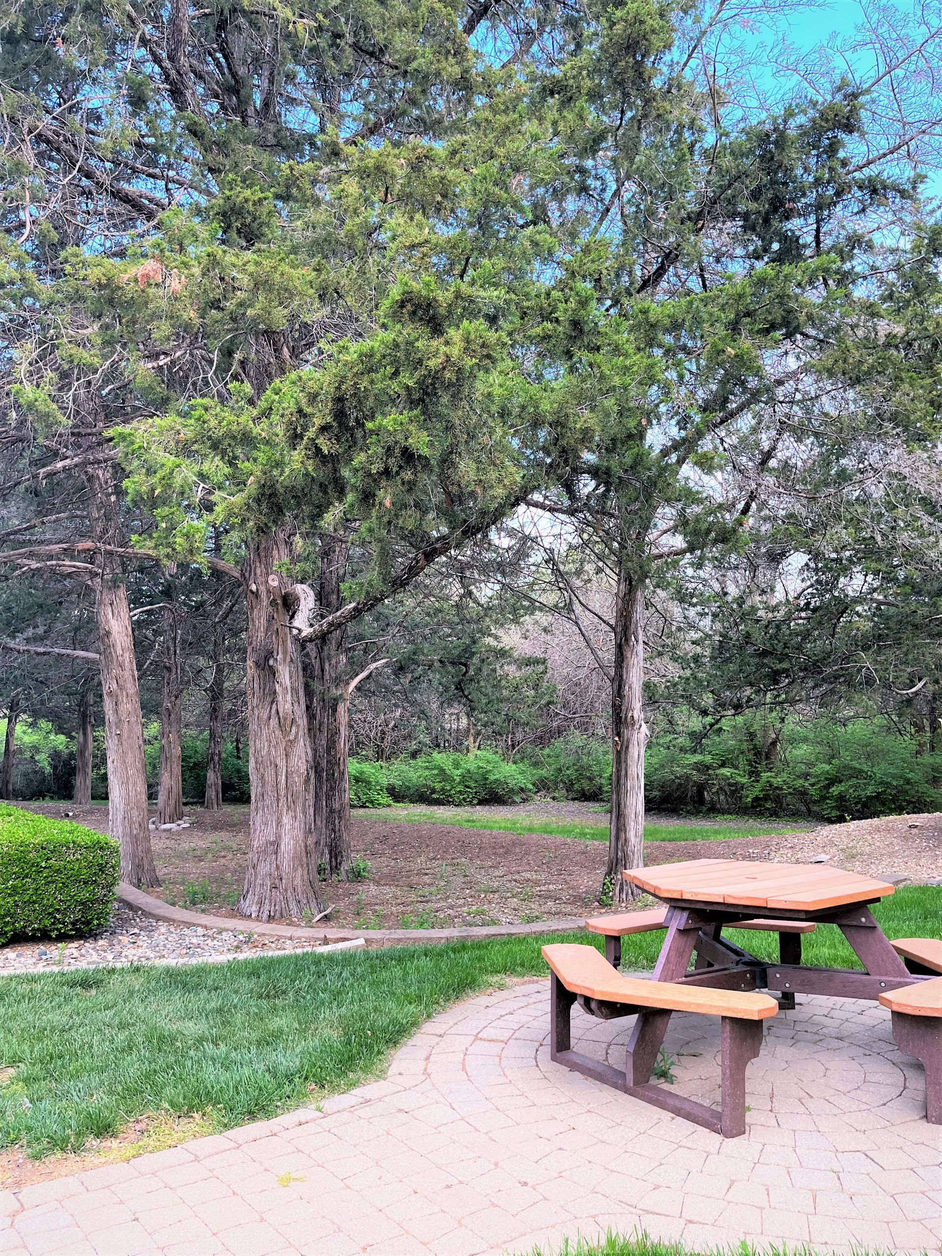 Office outdoor area with park bench and walking path