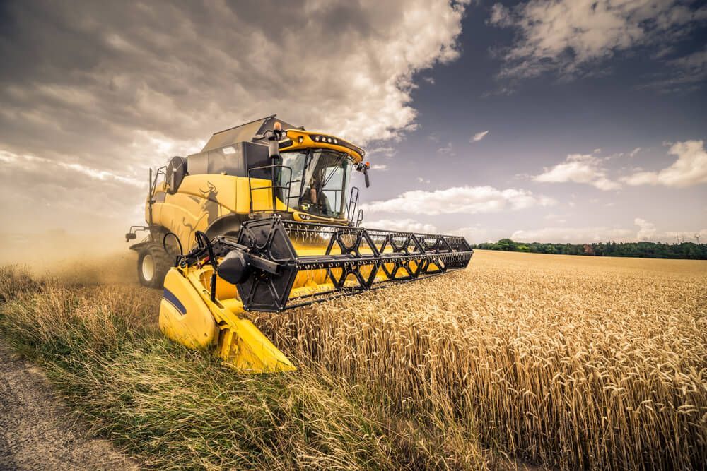 A Yellow Combine Harvester Is Working in A Wheat Field — Parkes Machinery Services PTY LTD in Young, NSW