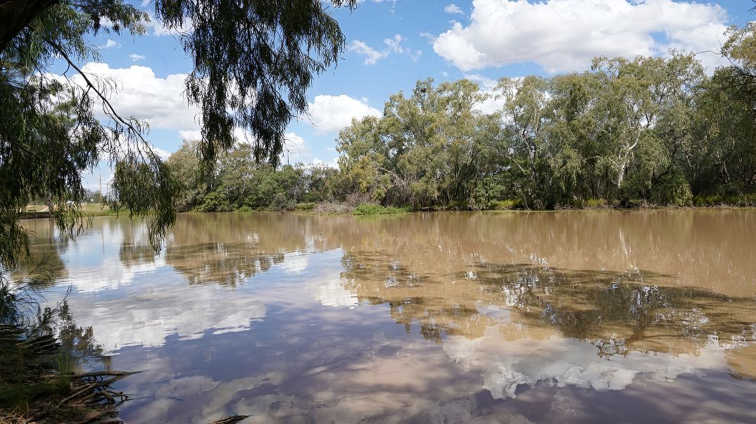 A Large Body of Water Surrounded by Trees on a Sunny Day — Parkes Machinery Services PTY LTD in Nyngan, NSW