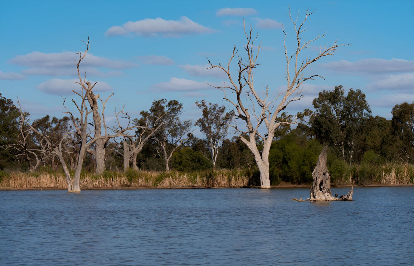 A Large Body of Water With Trees in the Background — Parkes Machinery Services PTY LTD in Warren, NSW